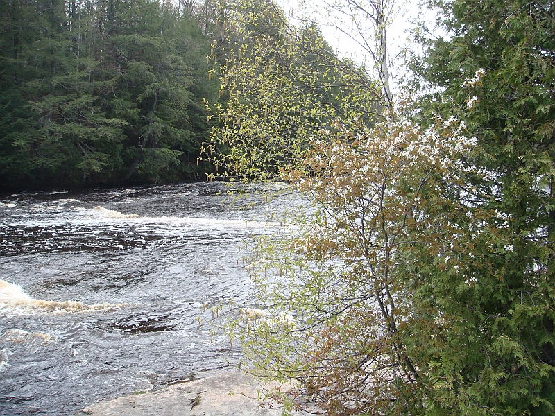300 Memorial Day [2008 May 23].JPG - Scenes from Tahquanemon Falls in the Michigan Upper Peninsula.